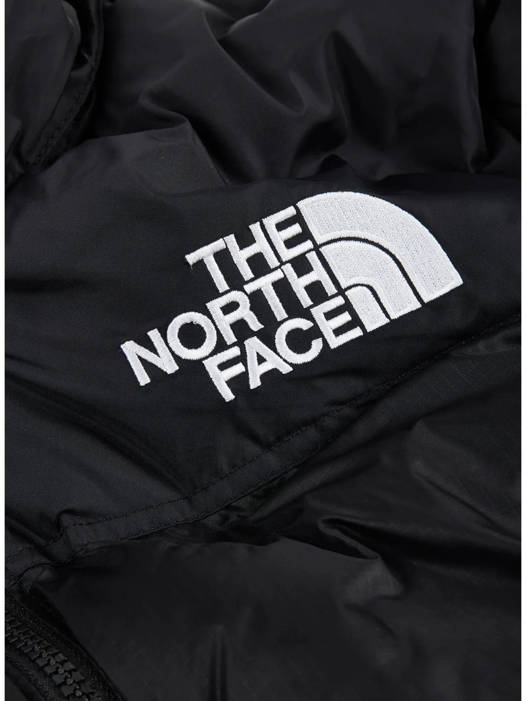Giacca The Nort Face